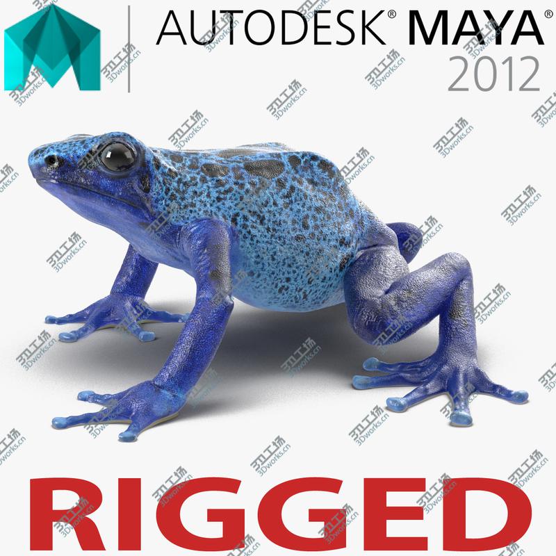images/goods_img/202105073/Poison Dart Frog Rigged for Maya/1.jpg